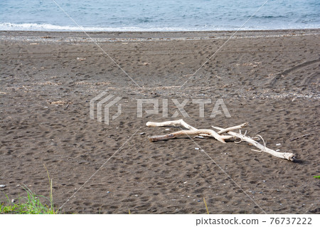 Driftwood on the beach and sandy beach, Sea of Okhotsk 76737222