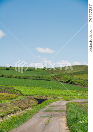 Summer hilly upland road Summer hilly upland road 76737227
