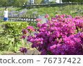 Kasuga's holiday for azaleas and running 76737422