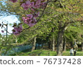 When parents and children hold hands and enjoy walking in the park 76737428