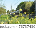 I like trains and trains that run in rape blossoms 76737430