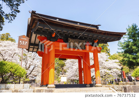 Erinji Temple in spring with cherry blossoms Erinji Temple in spring with cherry blossoms 76737532