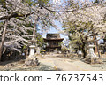 Erinji Temple in spring with cherry blossoms 76737543