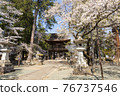 Erinji Temple in spring with cherry blossoms 76737546