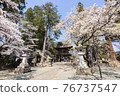 Erinji Temple in spring with cherry blossoms 76737547