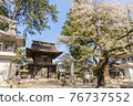 Erinji Temple in spring with cherry blossoms 76737552