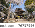 Erinji Temple in spring with cherry blossoms 76737556