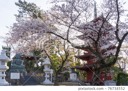 Nakayama Potter's Dome 76738552