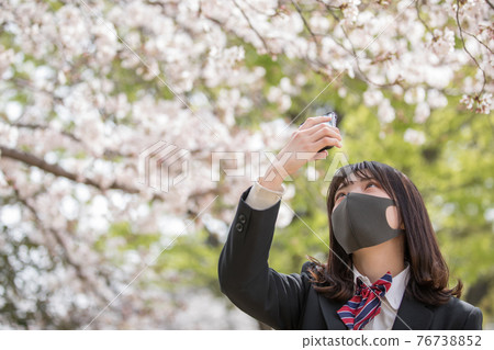 射櫻花的女高中生 76738852