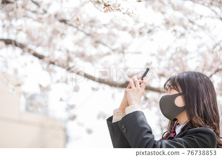 射櫻花的女高中生 射櫻花的女高中生 76738853
