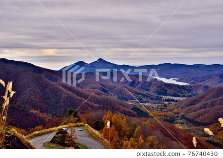 Autumn leaves 76740430