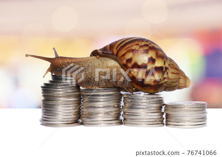 Brown snail climbing the pile of coins with bright colorful background , Victory and success from patience , Slow economic growth , Development financial and commit business concept Brown snail climbing the pile of coins with bright colorful background , Victory and success from patience , Slow economic growth , Development financial and commit business concept 76741066