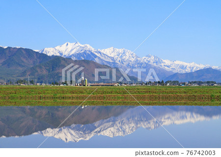 春天在北阿爾卑斯山，立山山頂 76742003