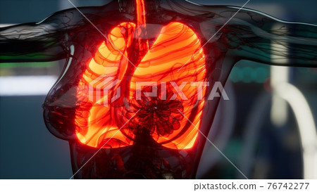 Human Lungs Radiology Exam in Laboratory 76742277