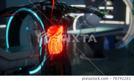 human digestive system anatomy exam in laboratory 76742281