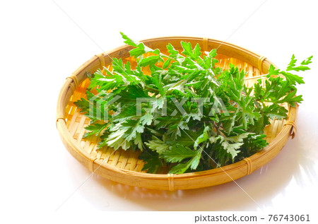 艾蒿 艾蒿 76743061