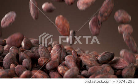 Falling roasted cocoa beans 76745295