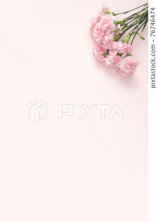 康乃馨 花束 母親節 禮物 carnation Mother's Day 母の日 カーネーション 康乃馨 花束 母親節 禮物 carnation Mother's Day 母の日 カーネーション 76746474