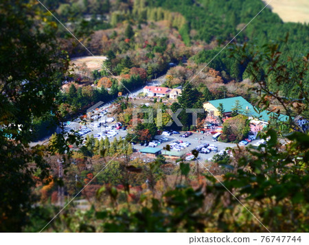 Diorama-style safari park 76747744