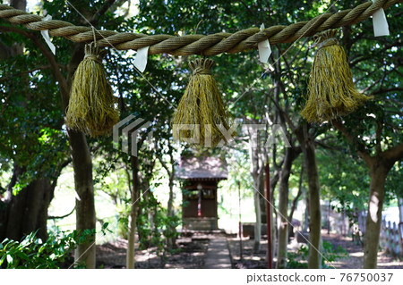 Oyamazumi Shrine (山神社) Shimenawa Oyamazumi Shrine (山神社) Shimenawa 76750037