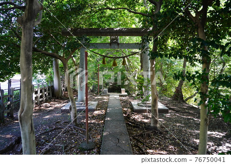 Oyamazumi Shrine (Mountain Shrine) Torii Oyamazumi Shrine (Mountain Shrine) Torii 76750041