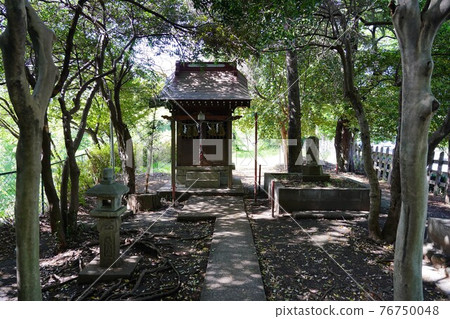 Oyamazumi Shrine (Mountain Shrine) Shrine 76750048