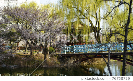 Scenery of Icheon, South Korea 76750739