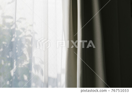 A window where light shines in and the shadows of plants are reflected 76751033