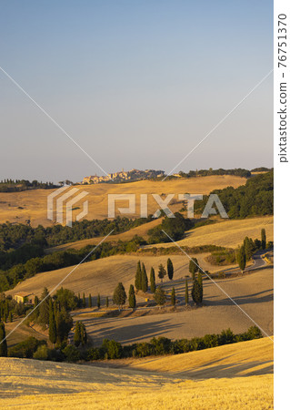 Cipressi di Monticchielo, Typical Tuscan landscape near Montepulciano, Italy Cipressi di Monticchielo, Typical Tuscan landscape near Montepulciano, Italy 76751370