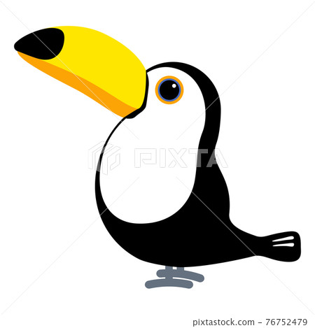 Toco toucan bird 76752479