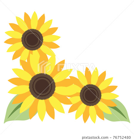 向日葵葉材料 76752480