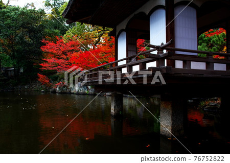 Autumn leaves in the garden Autumn leaves in the garden 76752822
