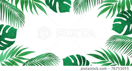 Vector illustration background of monstera and palm leaf frame (copy space, white background) 76753055