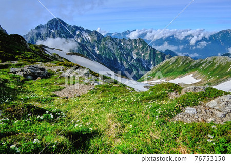 在可愛的高山植物的背景中聳立著鶴木山的野性雄性人物。從鶴木山附近的景色。 在可愛的高山植物的背景中聳立著鶴木山的野性雄性人物。從鶴木山附近的景色。 76753150