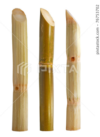 Single object of Sugar cane isolated on white background Single object of Sugar cane isolated on white background 76753702