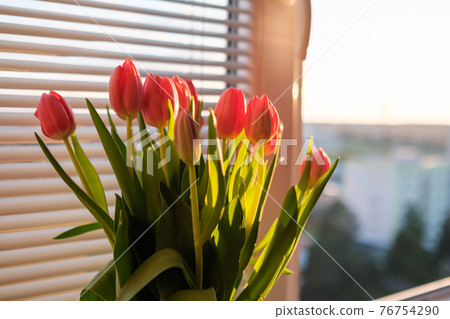 Bouquet of red tulips on the windowsill at sunlight 76754290