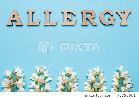 The inscription of the allergy is lined with letters on a blue background, below are the white acacia inflorescences, concept The inscription of the allergy is lined with letters on a blue background, below are the white acacia inflorescences, concept 76755691