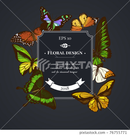 Dark badge design with red lacewing, wallace s golden birdwing, purple spotted swallowtail, great 76755771