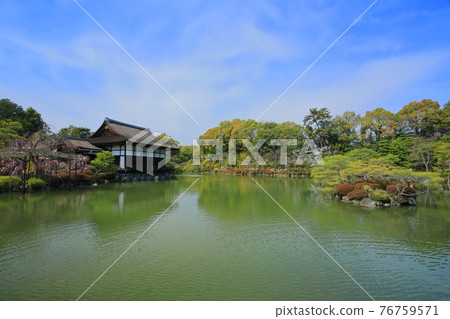 [京都] 晴空下的平安神宮東神念 76759571