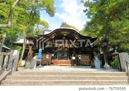 【京都府】鮮綠色的東天王岡崎神社 76759595