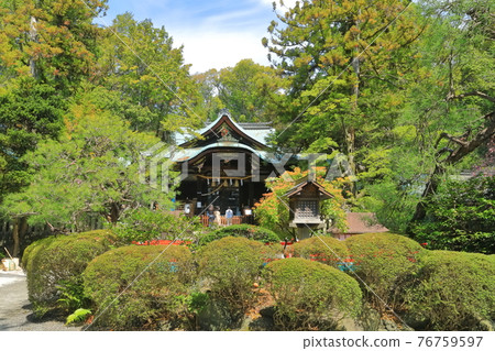 【京都府】鮮綠色的東天王岡崎神社 76759597