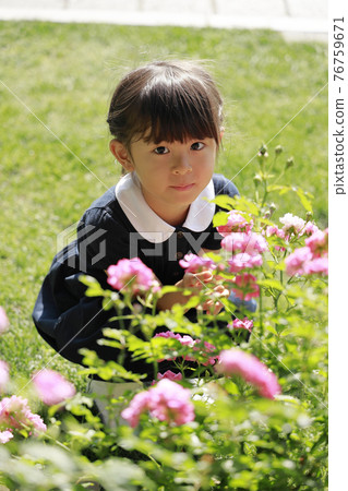 Toddler (5 years old) and pink roses 76759671