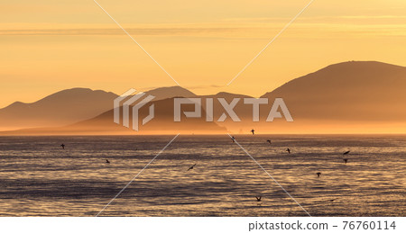 Picturesque arctic seascape 76760114