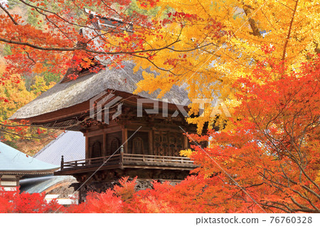 Rei Matsudera的信濃大町秋天的古墓 76760328