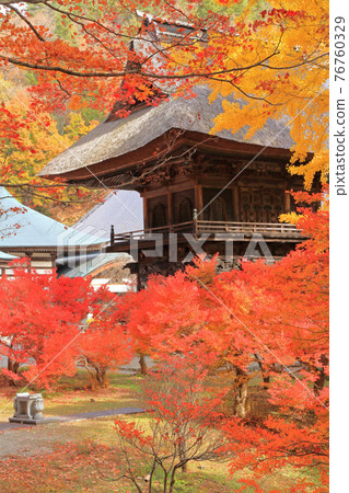 Rei Matsudera的信濃大町秋天的古墓 76760329