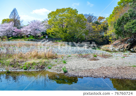 Scenery near the Toki River in early spring, Myojinbuchi 76760724