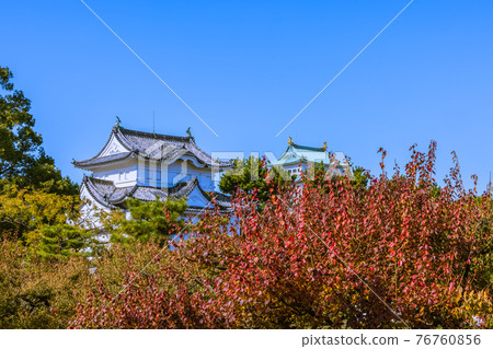 愛知縣名古屋市清晨名古屋城的秋景 愛知縣名古屋市清晨名古屋城的秋景 76760856