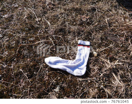 socks socks 76761045