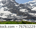 Meadow 76761229