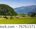 Meadow 76761371